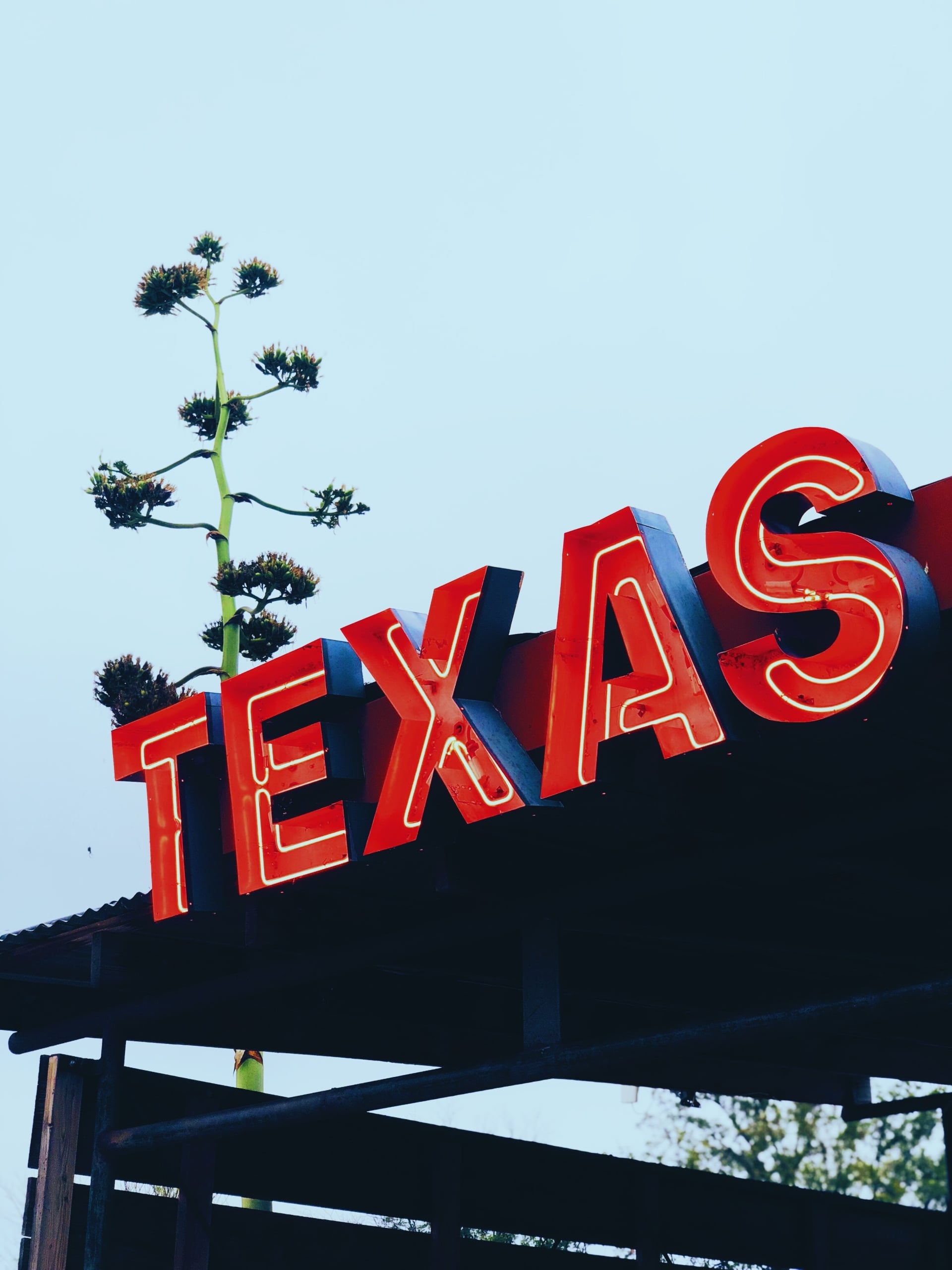Texas Mugshot Removal Law